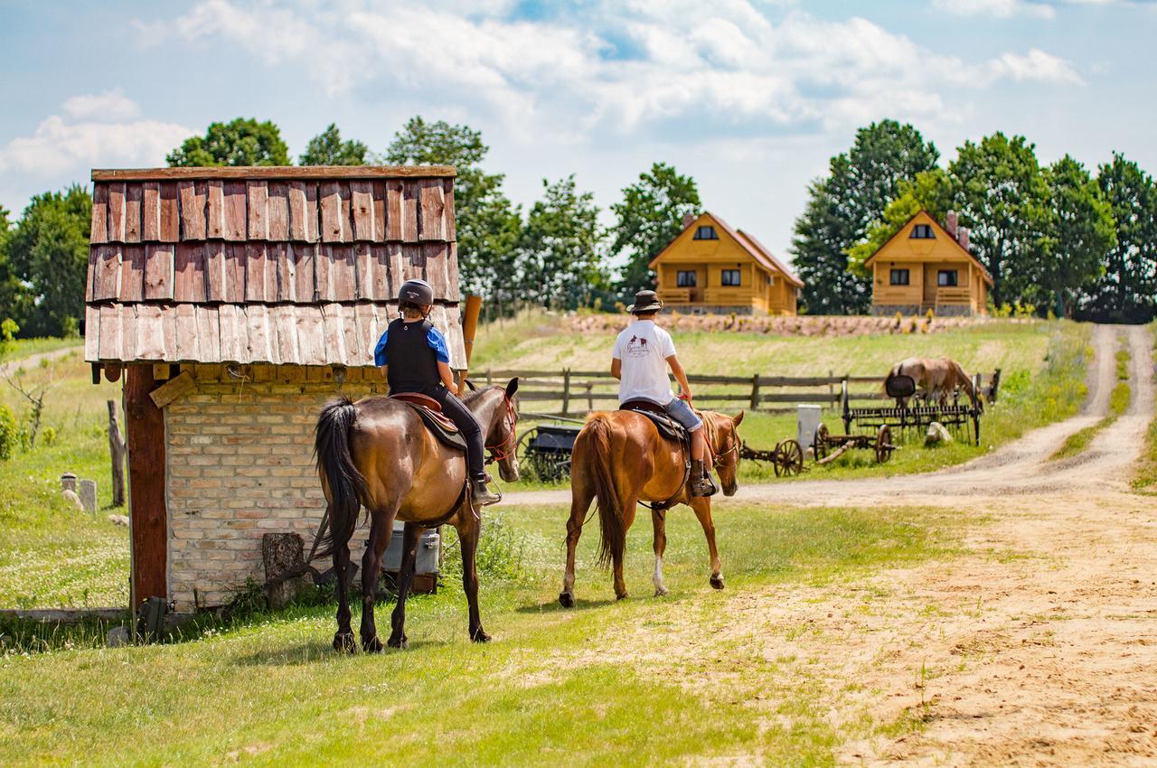 Osada Łagówek - domek letniskowy do wynajęcia Lagow (Swiebodzin) Exterior foto
